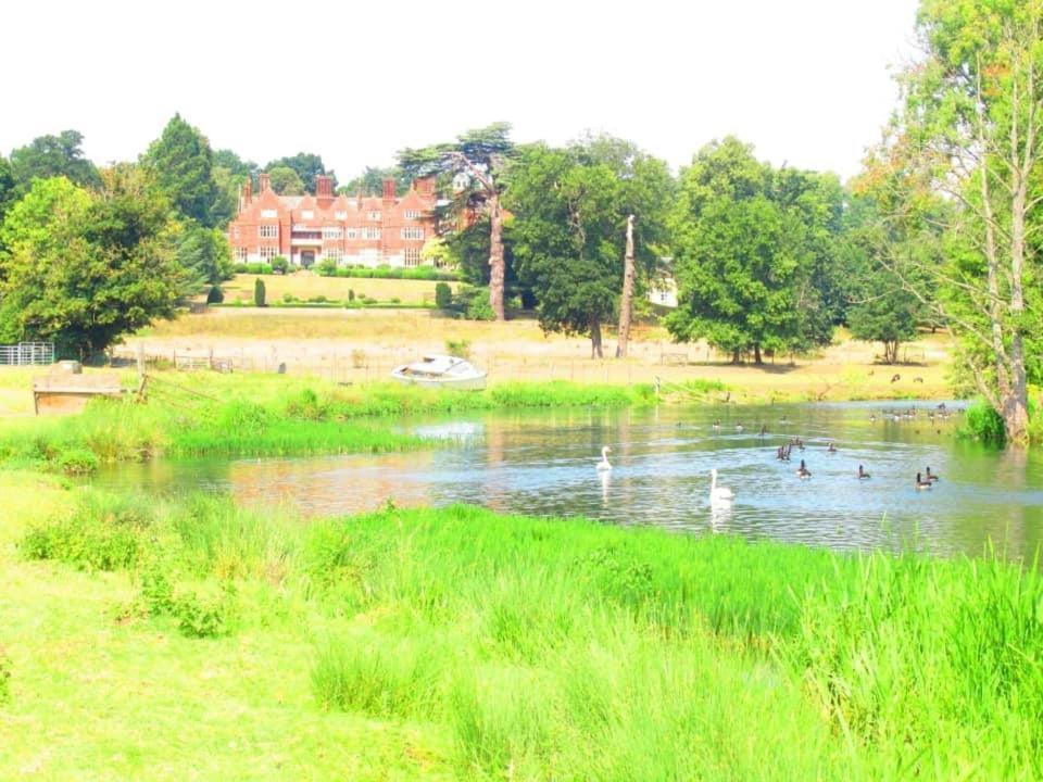 Hertford Farm With Wood Burner Pet Friendly Fire Pit Bbq * Bramfield (Hertfordshire)