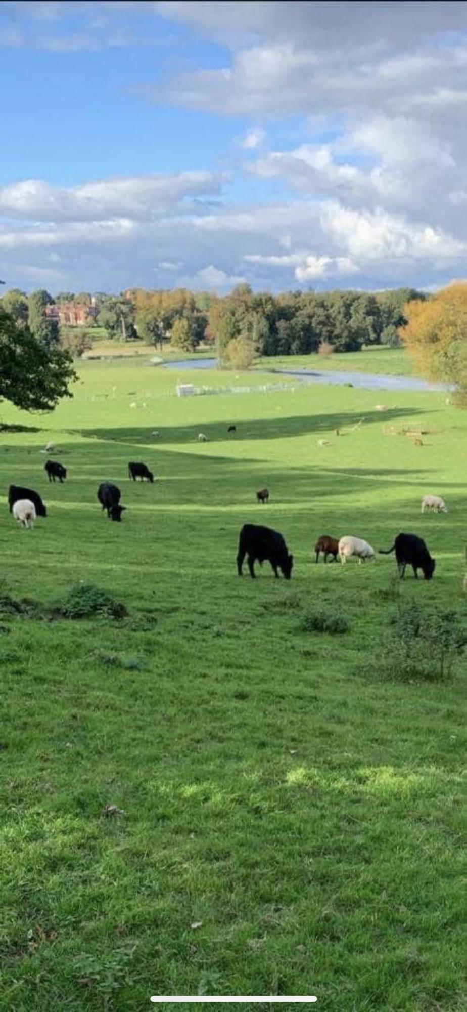 Hertford Farm With Wood Burner Pet Friendly Fire Pit Bbq *