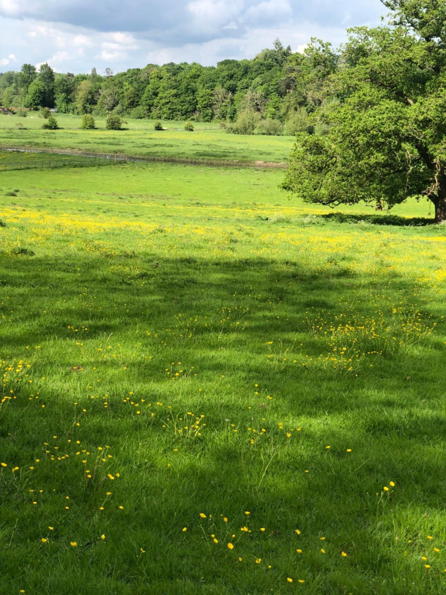 Hertford Farm With Wood Burner Pet Friendly Fire Pit Bbq Campsite Bramfield (Hertfordshire)