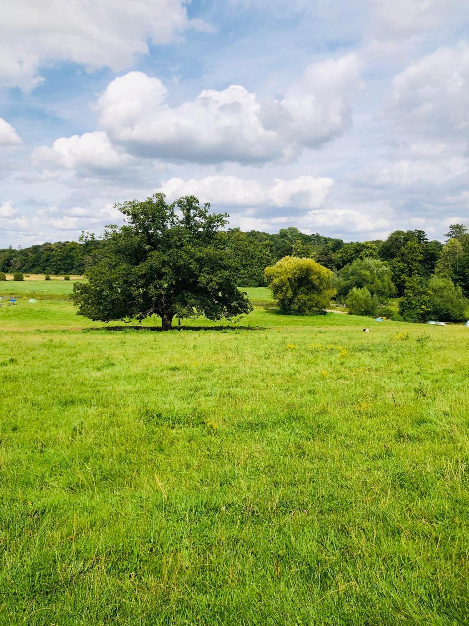 Hertford Farm With Wood Burner Pet Friendly Fire Pit Bbq
