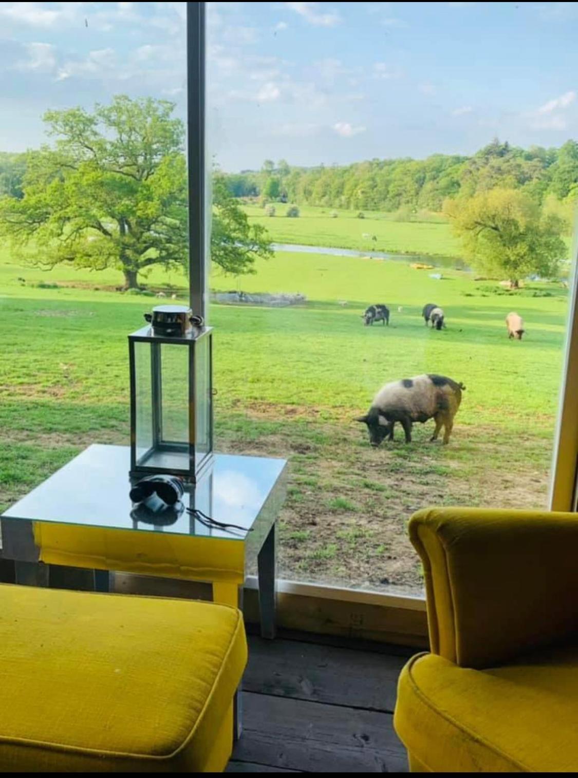 Hertford Farm With Wood Burner Pet Friendly Fire Pit Bbq Bramfield (Hertfordshire)